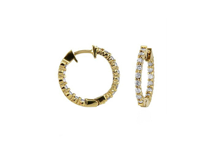 Gold Plated | Fashion Earrings